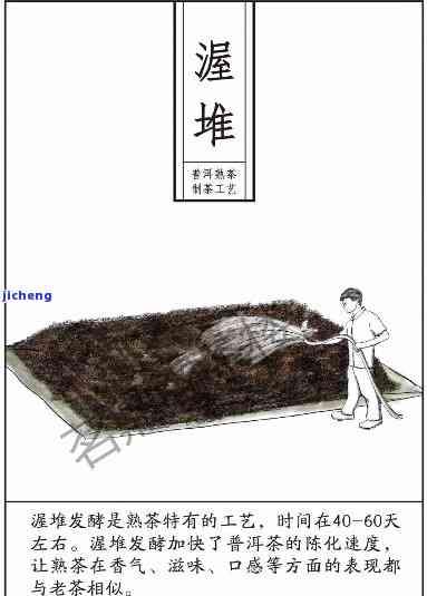 云南古茶普洱茶：起源、历、制作工艺及品鉴方法全面解析