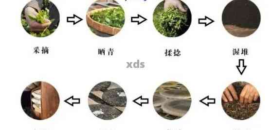 云南普洱茶熟茶制作工艺流程简单解析