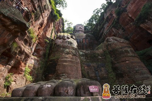 四川大佛像：历史、文化、建筑与旅游指南