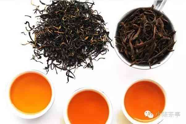 凤尾茶属于什么茶：探讨其茶类与茶种特性