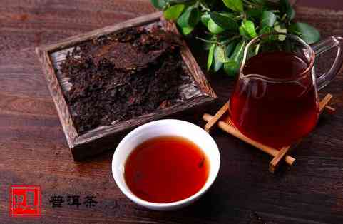 云南普洱茶世家：古树茶价格、普洱茶投资、茶马古道文化