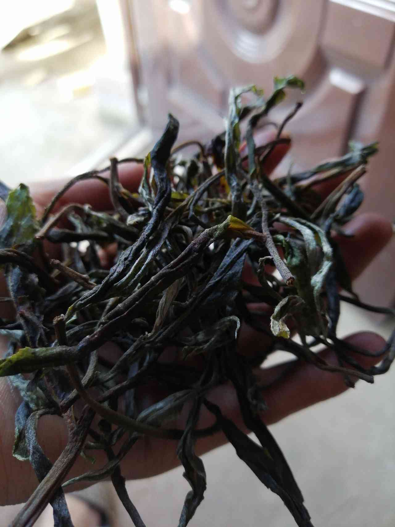 大树春茶普洱茶生茶