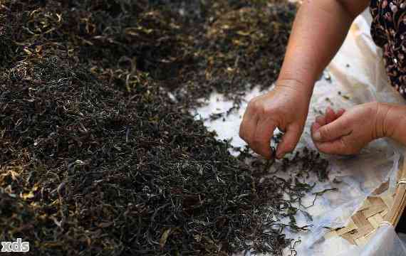 普洱茶杀青工艺细节问题影响、危害与现象：探讨其对普洱茶品质的影响