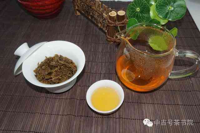 冰岛高山茶的冲泡艺术：掌握普洱生茶的完美泡法