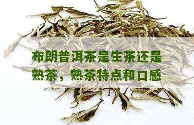 布朗生茶普洱茶介绍