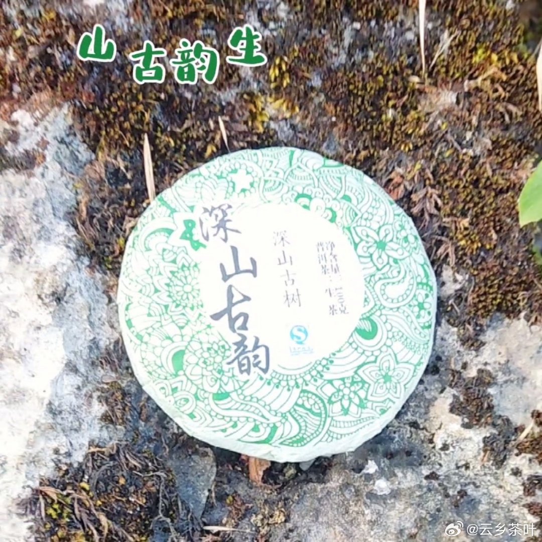 普洱茶生茶深山古茶