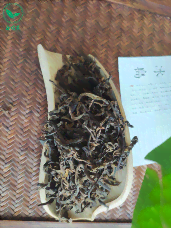 普洱茶：生茶、散茶和老茶的不同特点及如何挑选适合自己的普洱茶