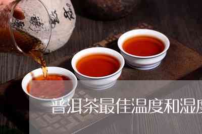 普洱茶瓷砖：如何正确粘贴以保持美观和持久耐用？