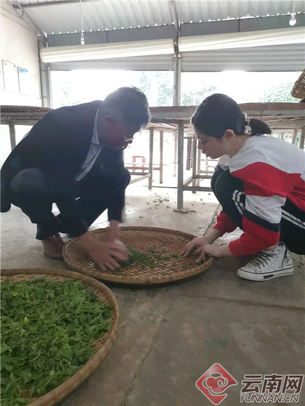 上海茶叶交易中心：普洱茶专业交易平台