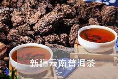 新疆可以喝点普洱茶