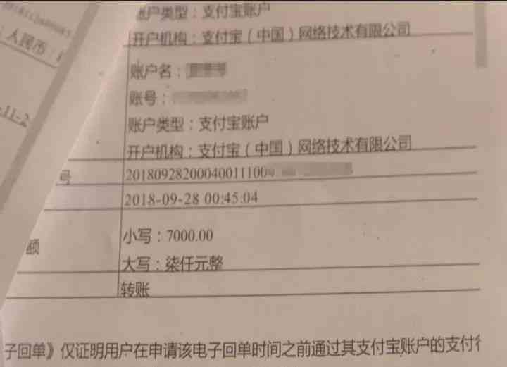 网贷逾期十几万的人怎么过政审与过户处理方案及案例分析