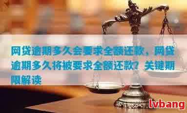 网贷逾期还款期限及全额还款要求全面解析，助您避免逾期困扰