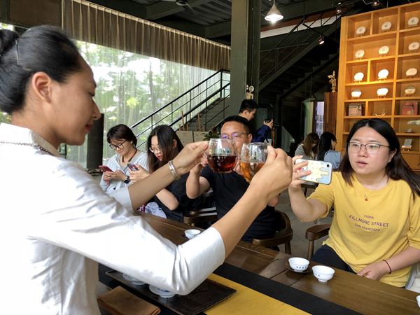 昆明普洱茶研究与品鉴中心：官方网站，茶叶科学，云南特色文化体验