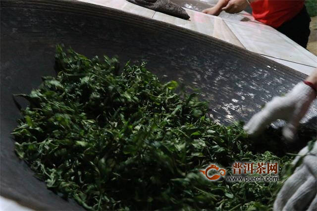 普洱茶制作传授过程：传统工艺流程与要点解析