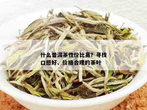 普哪里的普洱茶口感且价格实？寻找优质普洱茶的极指南