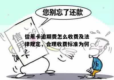 信用卡逾期管理公司收费：合法性与合规性探讨