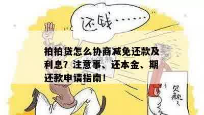 减免还款政策详解：真的能减免吗？申请流程与条件是什么？