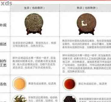 普洱茶品鉴的详尽指南：从外观到口感的全方位评估标准