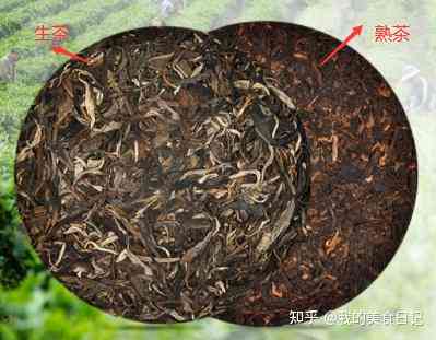 新手入门：如何挑选适合自己口味的普洱茶？