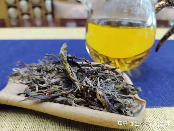 新手指南：如何选择适合自己口味的普洱茶？