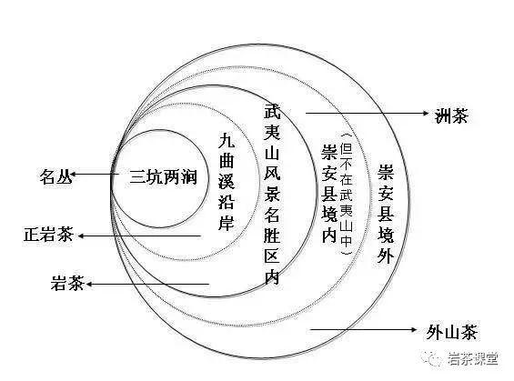 岩茶十八罗汉全解析：品种、产地、口感、品质与价格一览无余