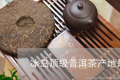 冰岛原产地茶叶：探索普洱茶的冰岛魅力