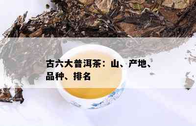 名山普洱茶排行