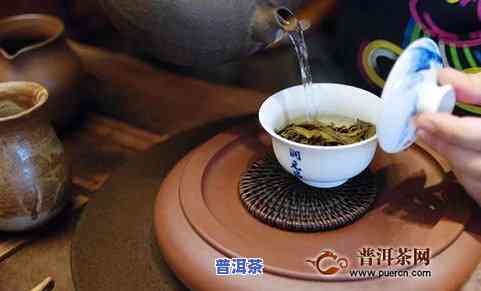 普洱茶泡法详解：从选茶到倒茶的完整工序流程