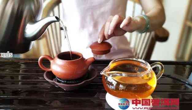 普洱茶煮茶器选择：用什么器具冲泡普洱茶好？