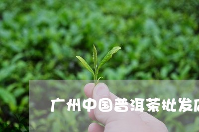 广东普洱茶供应批发