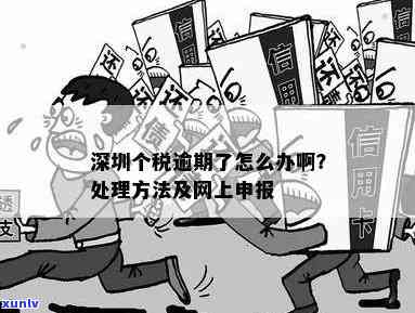 深圳税务申报逾期一次的解决方法及应对策略