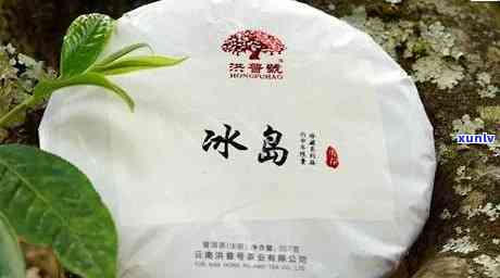 冰岛普洱茶的健效益：对消化系统的益处分析