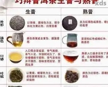 临沧产区普洱茶：品质、口感、制作工艺及选购指南