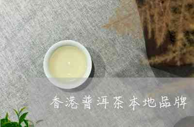 知名普洱茶公司