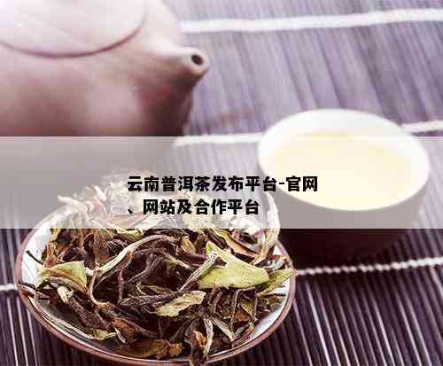 云南普洱茶金融平台