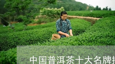 普洱茶名茶排行前十