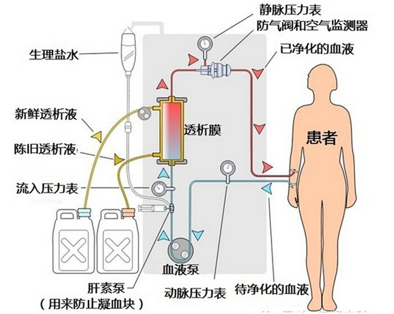 探究玉镯子出水现象：原因、影响与预防措施