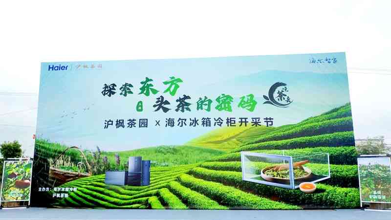 嘉木堂茶文化推广与传播：探索茶文化的魅力、历与艺术