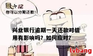 信用卡兴业过了还款日怎么还：逾期后果及解决办法