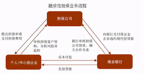 贷款违约：公司、银行及个人的责任如何分配？了解您的权益和解决方案