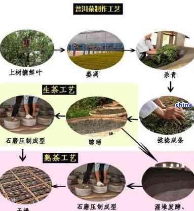 探索砖茶的制作秘密：了解其独特原料与工艺流程