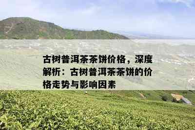 大中山古树茶价格：特点与市场行情一览