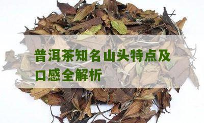 苦头陀普洱茶怎么样