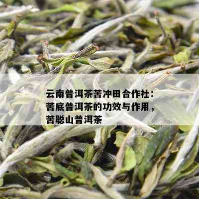 苦头陀普洱茶怎么样