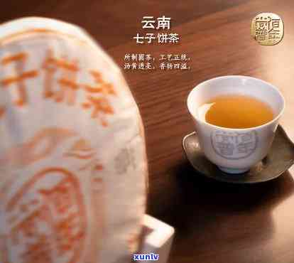 云南七子饼茶天字：古树茶香，精工艺，品鉴宴