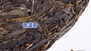 优质子箐普洱茶叶的实价格与独特口感