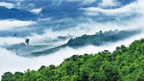 普洱子湖茶山：探索中国云南的茶叶胜地与自然美景