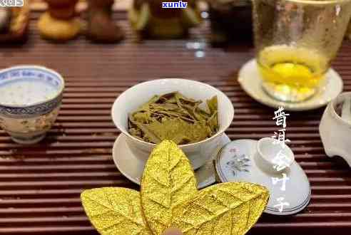 黄金叶普洱茶生茶：泡好喝还是直接喝？了解其功效与是否为生普