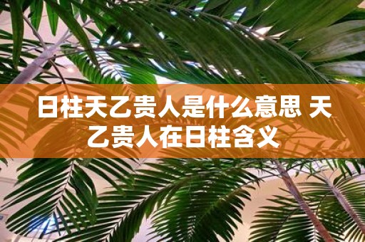 '乙亥日柱的贵人是什么：属相、日柱与富贵层次'