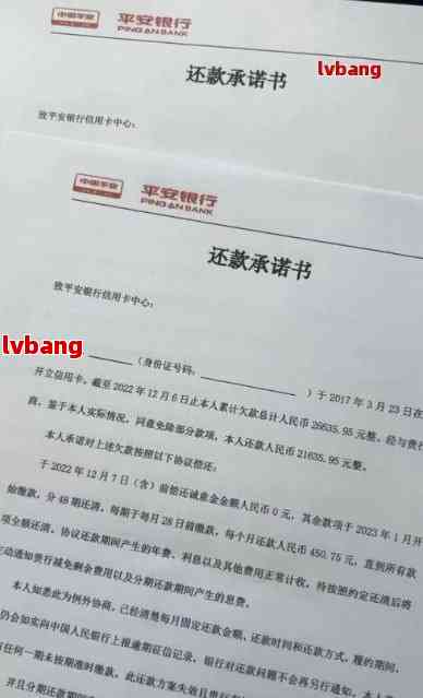 如何在一年内还清三十万负债：实用贷款还款策略与建议